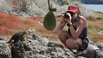 Full Day Plazas & Carrion Point