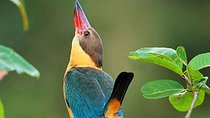Birdwatching and Trekking in Anawilundawa Sanctuary from Mount Lavinia