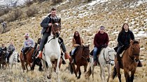 Experience the Best of Mendoza in a Semi-Private 5-days program! 