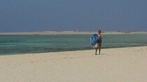 From Luxor : Utopia Island Royal Snorkeling 