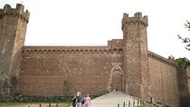 Truffle and Brunello Sommelier Vip Experience in Tuscany Lands from Rome
