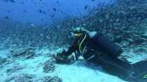 Scuba Diving in Unawatuna