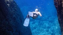 Scuba Diving from Negombo