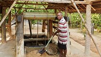 Explore Gem Mines in Rathnapura from Panadura
