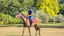 Horse Riding for Beginers from Dambulla