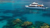 Poseidon Outer Great Barrier Reef Snorkeling and Diving Cruise from Port Douglas
