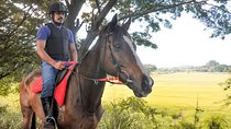 Horse Ride Experience from Sigiriya