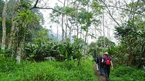1-day Explore Cuc Phuong National Park from Hanoi