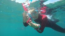 Snorkeling - Marine Park Discovery 