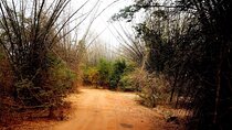 Camping in Habarana