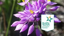 Spring Wildflower Private Day Tours