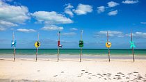 Holbox Tour of Caribbean Sea! Round Transportation from Cancun