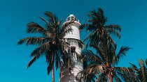 Southern Coast Highlights Tour from Bentota
