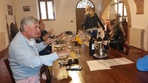 Livorno Port Shore Excursion: Siena San Gimignano Lunch&WineTasting