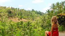 Best of Bali in 3 Days - Private Tour Package