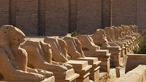 Best Of All 4 Nights Nile Cruise Luxor to Aswan From Luxor With Balloon & Tours