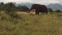 4 Days Safari to Tsavo East N/P, Tsavo West N/P, Taita Hills Wildlife Sanctuary.