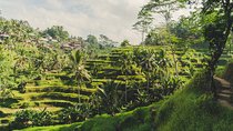 Best of Bali Traditional Village Sightseeng Tour include Lunch