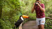 Bird Park Tour