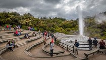 Magical Wanderer Experience Private Tour to Te Puia & Wai-O-Tapu