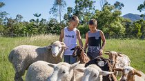 Trevena Glen 1hr Animal Tour