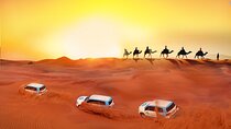 Private 8-Day Dubai Tour with Abu Dhabi and Desert Safari