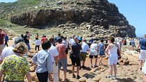 Small Group Private Tour To Cape Point Penguins From Cape Town Excl Entry Fees