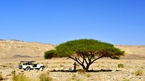 Desert Safari and Dead Sea Day Trip from Tel Aviv