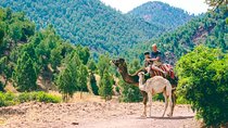 Toubkal National Park & Atlas Mountains Day Trip from Marrakech Including Lunch