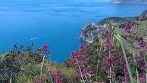 Cinque Terre unforgettable hiking experience