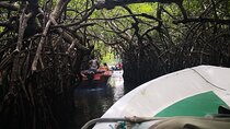Bentota City Tour from Wadduwa