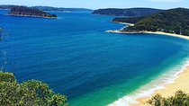 Central Coast Private Tour From Sydney, with Australian Reptile Park Option