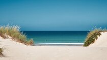 Surf Courses In Peniche and Baleal Portugal