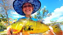 Peacock Bass Fishing Trip near Miami South Beach