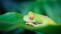 Tortuguero National Park Adventure 3D/2N