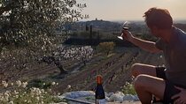 Wine tasting in Sablet
