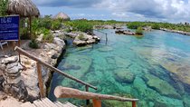 Amazing Cenote Yalku, swim in sacred waters. Transport & Guide