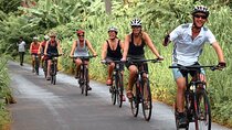 Cycling Adventure from Elpitiya
