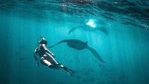 Best of Nusa Penida with Snorkeling Tour