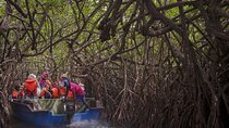 Bentota ~ Special private guide day tour; Solo ;Couple ;Group