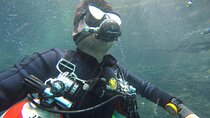 Cenotes Discovery Cave Diving