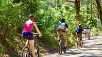 Urban Jungle Trail Cycling Tour from Colombo