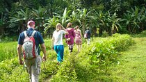 Hike to Peacock Hill from Kandy