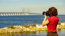 Malmö Private Full Day Trip from Copenhagen by Train