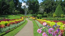 Kandy City Tour from Dambulla
