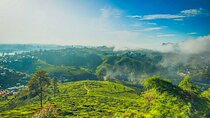 Single Tree Hill Hike from Nuwara Eliya