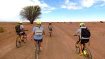 Atacama Bike Tour Catarpe and Devils Gorge