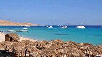 From Luxor : Utopia Island Royal Snorkeling
