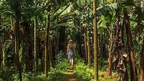 Private Tour of Butterfly Sanctuary and Spice Plantation