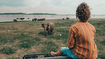 Colombo to Trincomalee Shuttle & Safari Drive